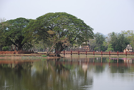 Les jardins des ruines de Phitsanulok