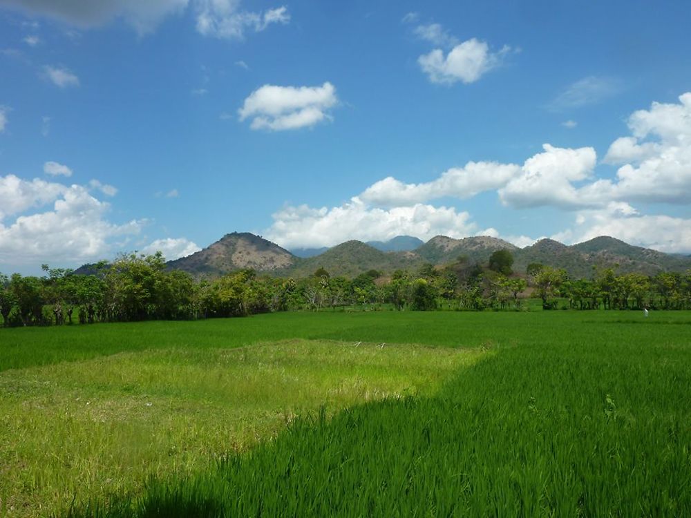 Sur la route Sumbawa Besar-Empang