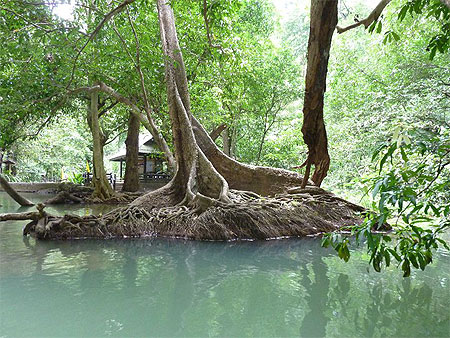 Krabi, le parc national de Than Bokkharani Krabi, le parc national de Than Bokkharani
