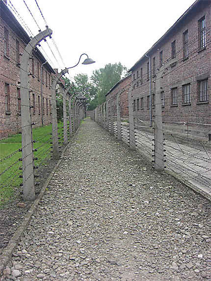 Camp de concentration Auschwitz 