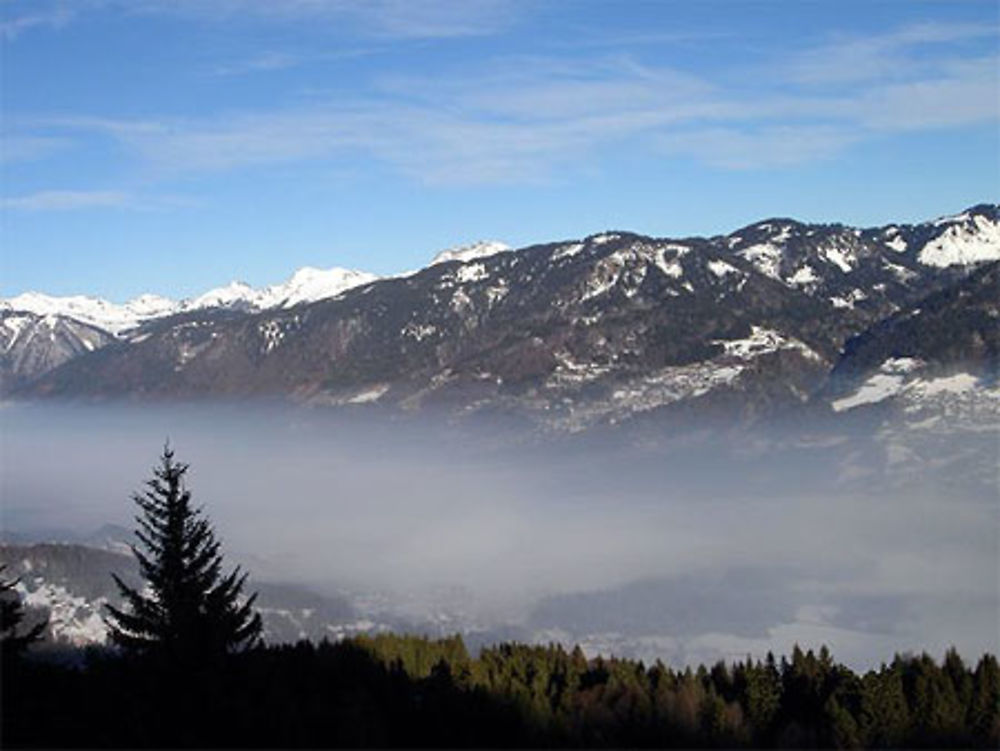 Brouillard léger