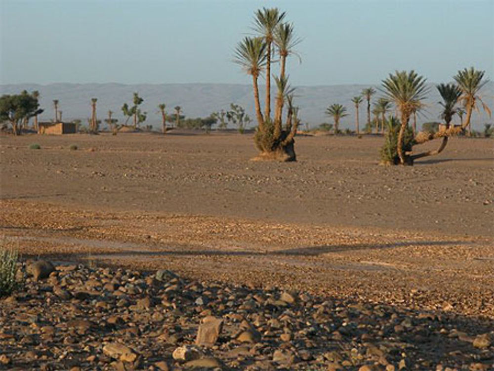 Le beau désert de Boudib