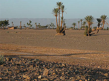Le beau désert de Boudib
