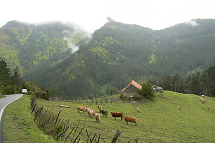Vallée typique du haut Aragon