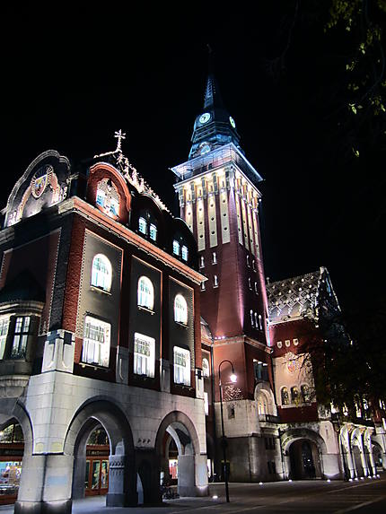 De nuit, hôtel de ville à Subotica