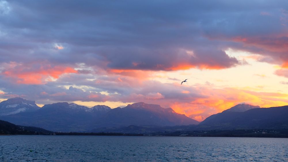 Lac du Bourget