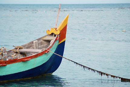 Barque au Tamil Nadu