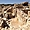 Le site archéologique méconnu de Umayri