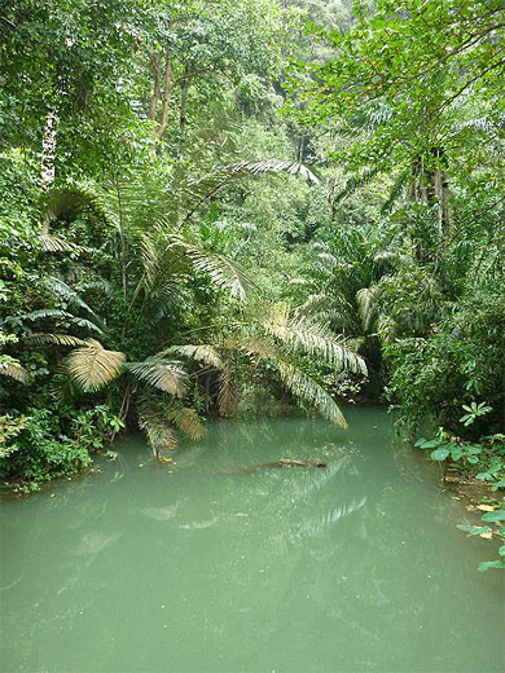 Krabi, le parc national de Than Bokkharani