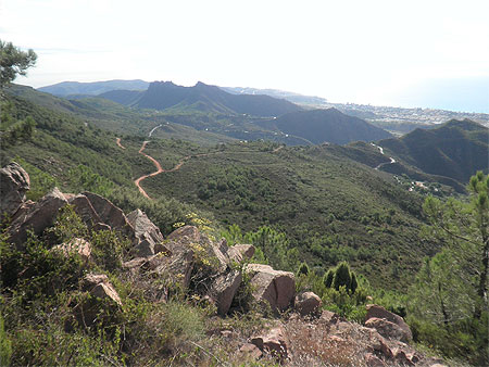 Desierto de las Palmes Desierto de las Palmes