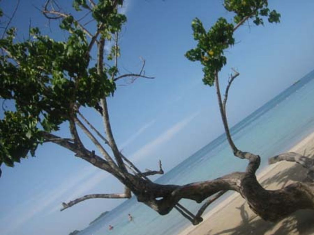 Plage de Jamaïque