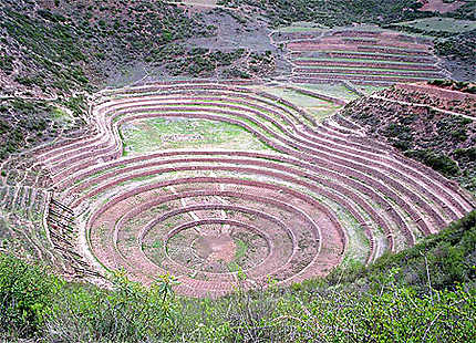 Site inca de culture expérimentale