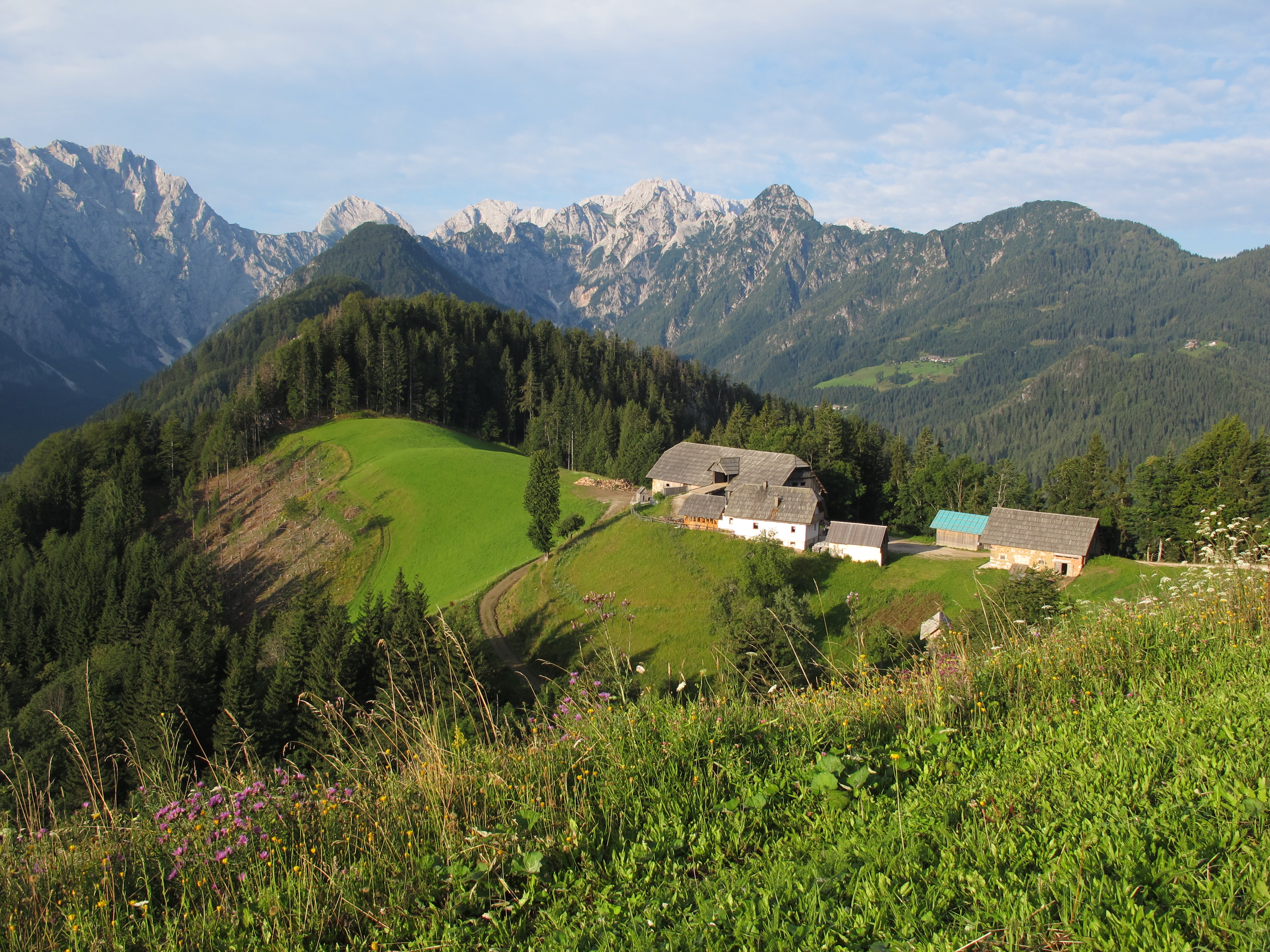 Ferme Ferme