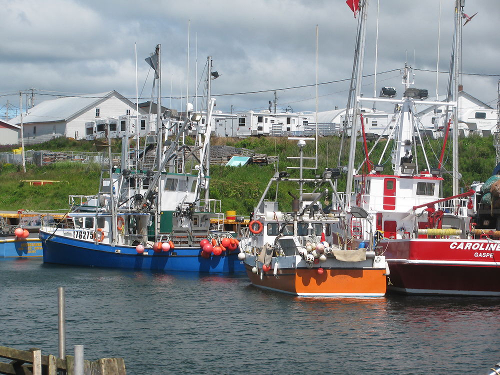 Quai de Ste-Thérèse de Gaspé