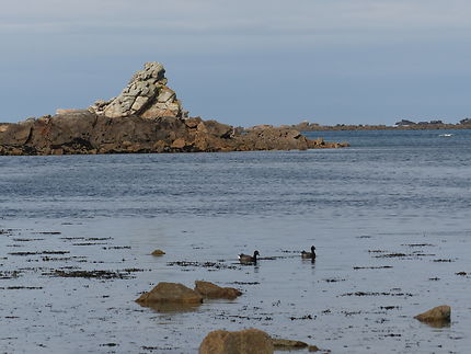 Couple en villégiature 