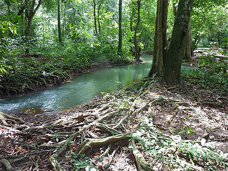 Krabi, le parc national de Than Bokkharani Krabi, le parc national de Than Bokkharani