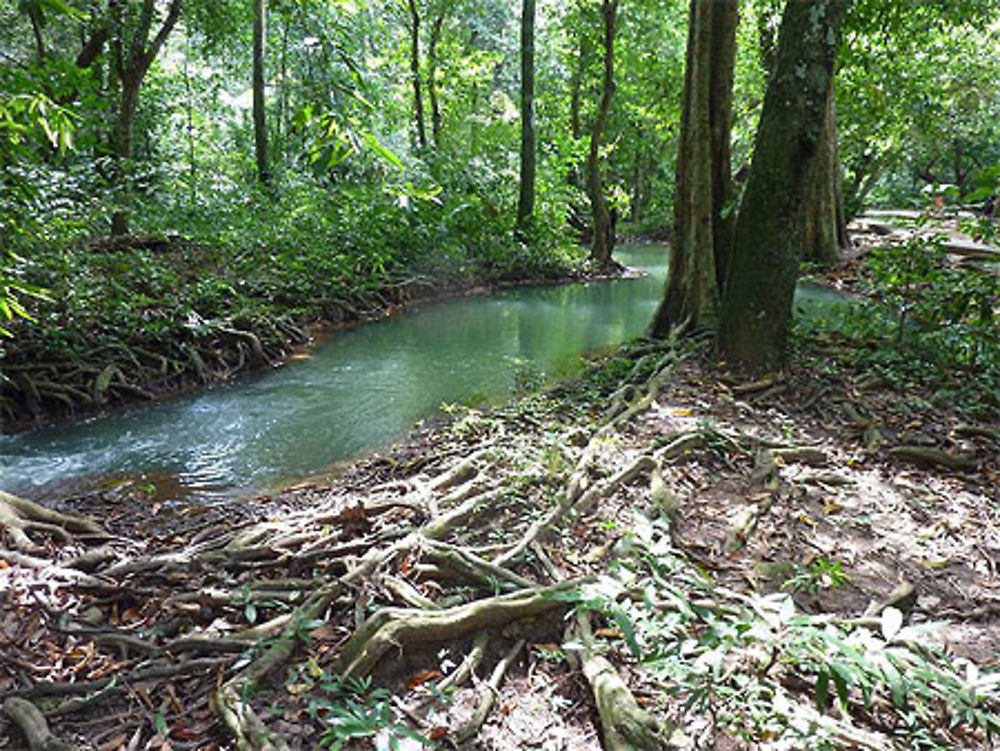 Krabi, le parc national de Than Bokkharani