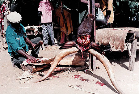 Boucherie au Niger Boucherie au Niger