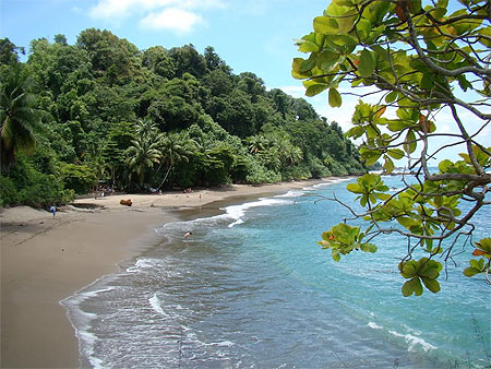 Isla del Caño Isla del Caño
