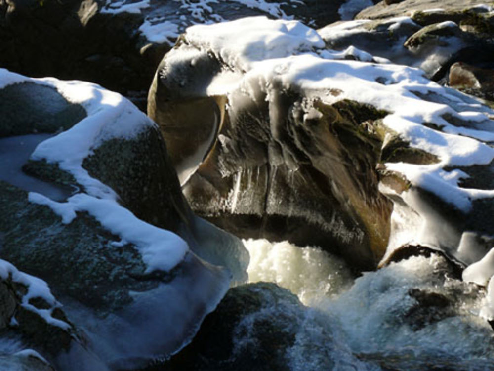 saut de la saule