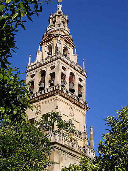 Catedral Mezquita