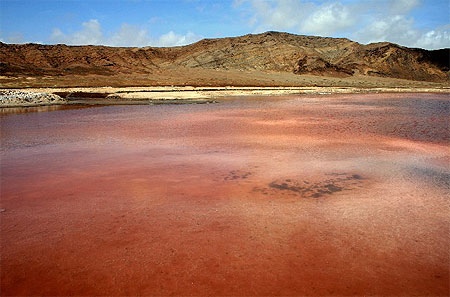 Vue sur les salines Vue sur les salines