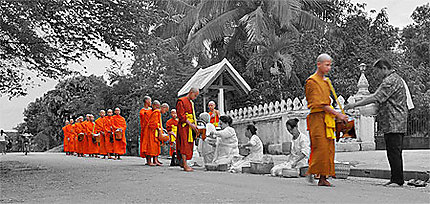 Le reras à Luang Prabang