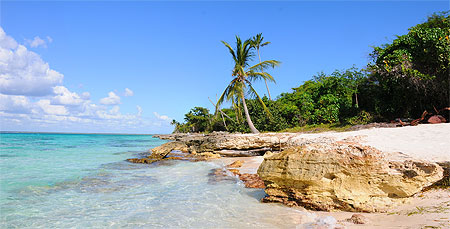 Ile de Saona