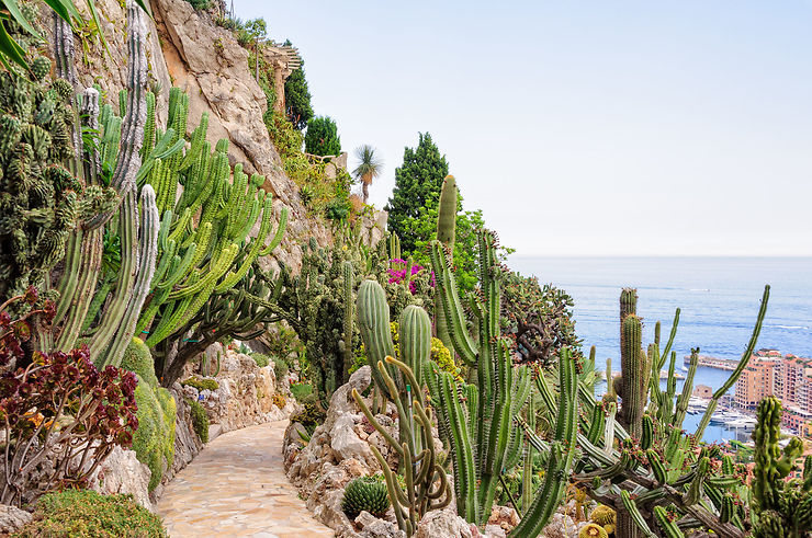 Jardin exotique de Monaco 
