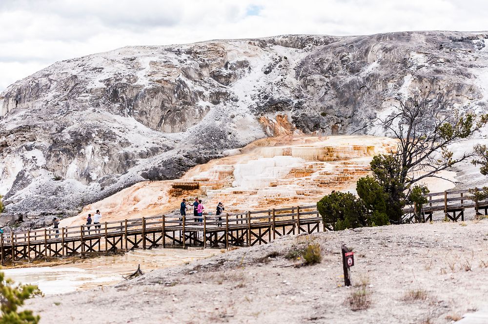 Les passerelles de Mammoth Hot Spring 