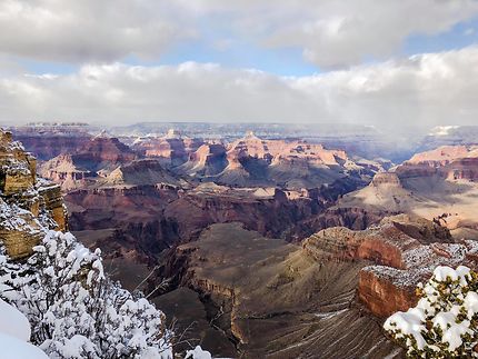 Grand Canyon sous la neige