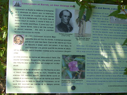 Les aventures des grands botanistes Roscoff 