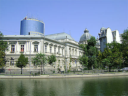 La rivière de Bucarest