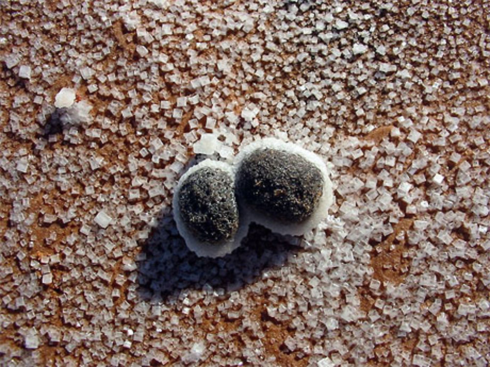 Deux billes au milieu d'un lac salé