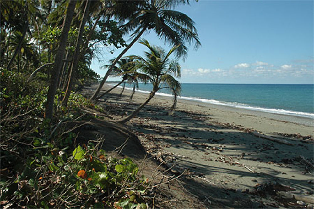 Playa Duaba