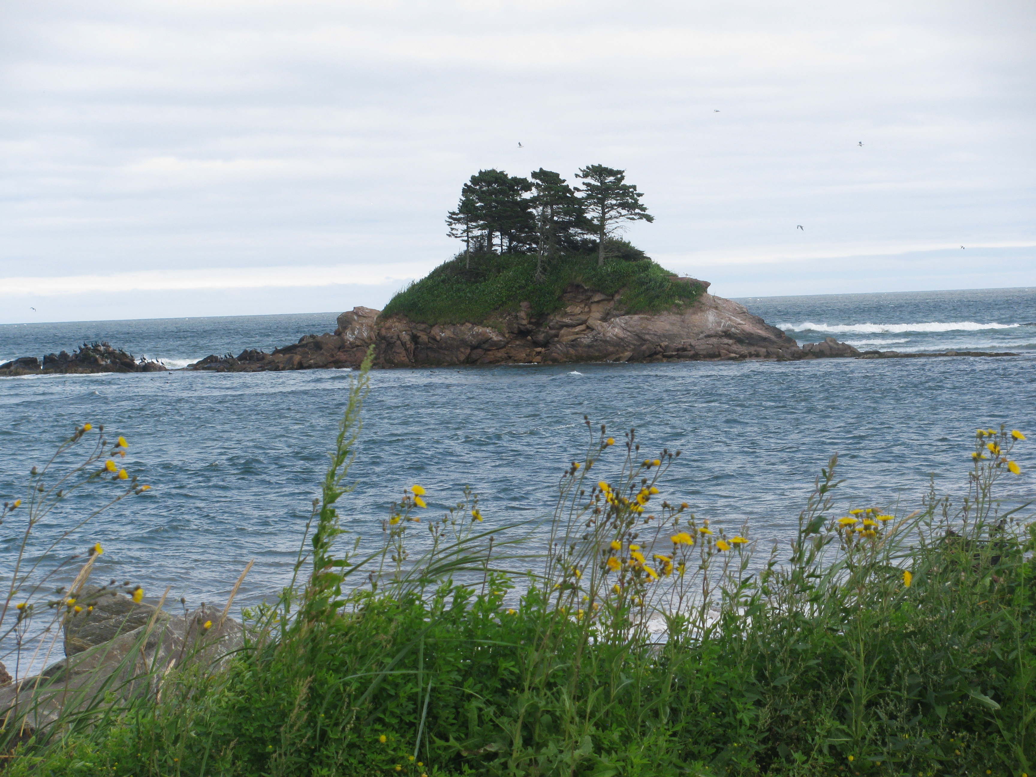 Île à Newport Île à Newport