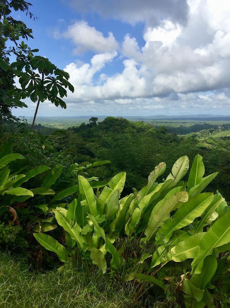 Le belvédère sur les hauteurs de Cacao, Guyane