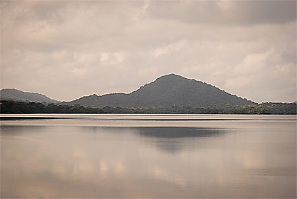 Lac, Sri Lanka