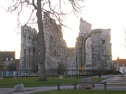 Ruines de l'abbaye de Saint-Bertin