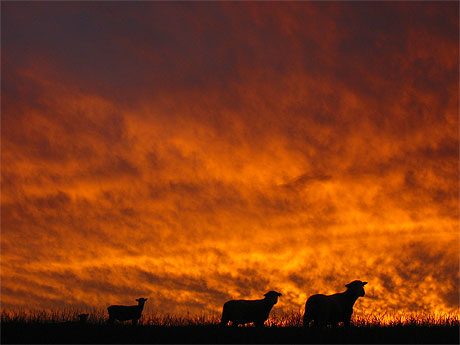 Vous venez on rentre se coucher. Vous venez on rentre se coucher.