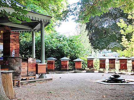 Les ruches du jardin du Luxembourg