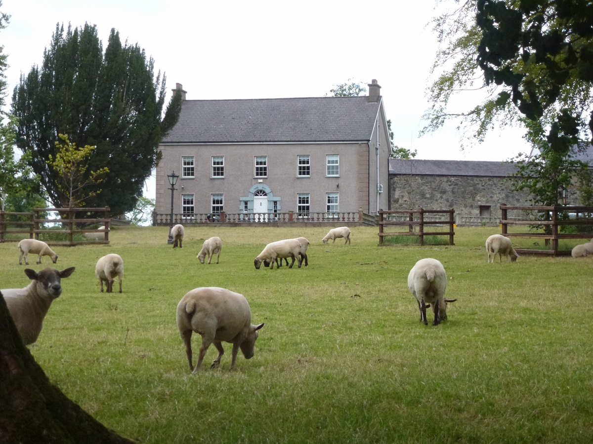 voyage irlande bed and breakfast