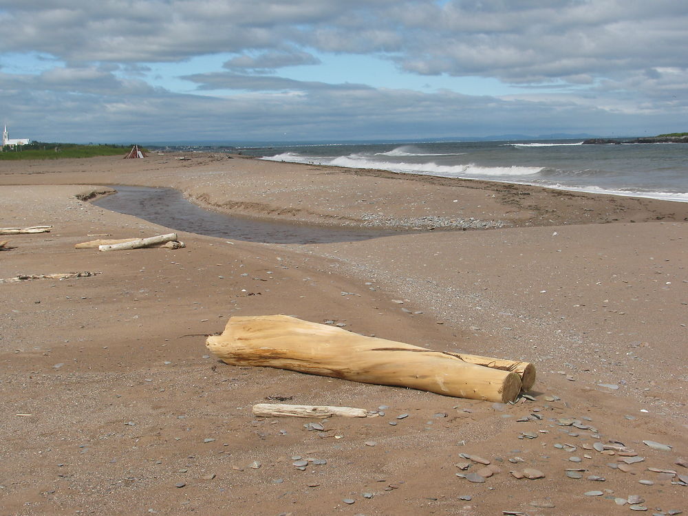 Plage à Newport