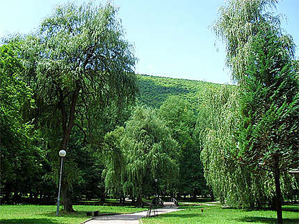 Parc de la source de la Bosna