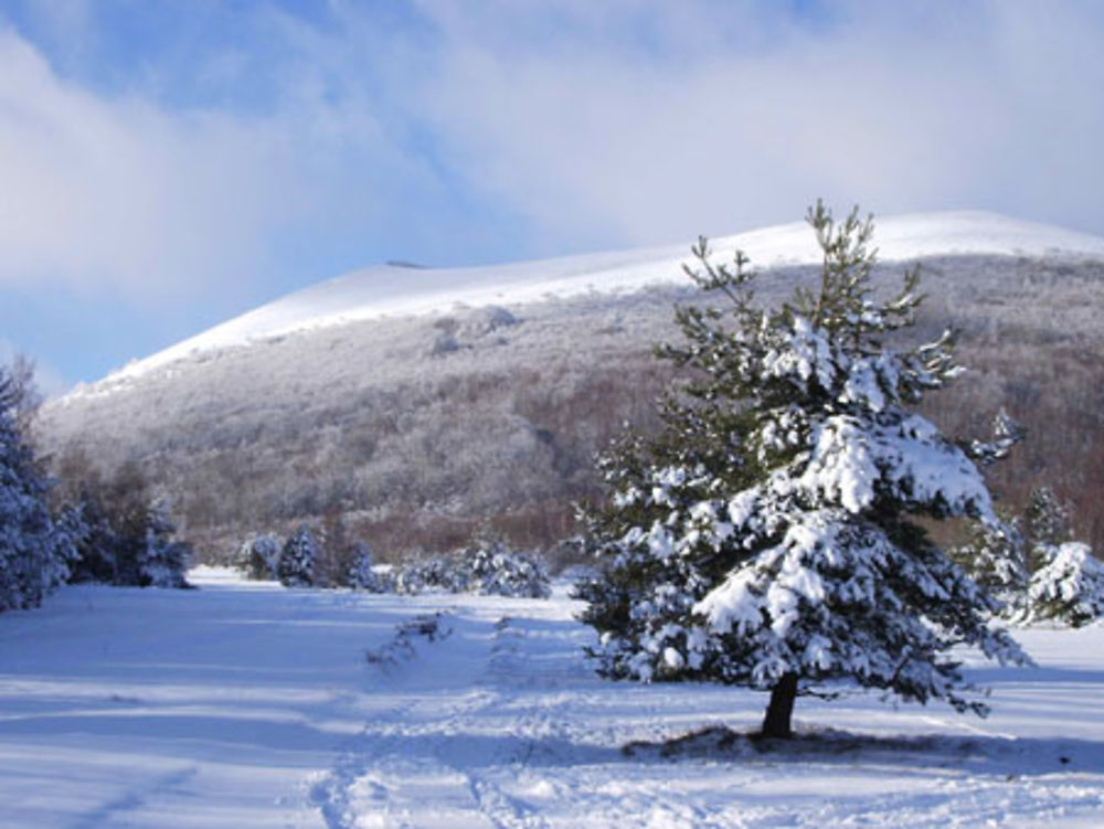 Au pied du Puy de Pariou