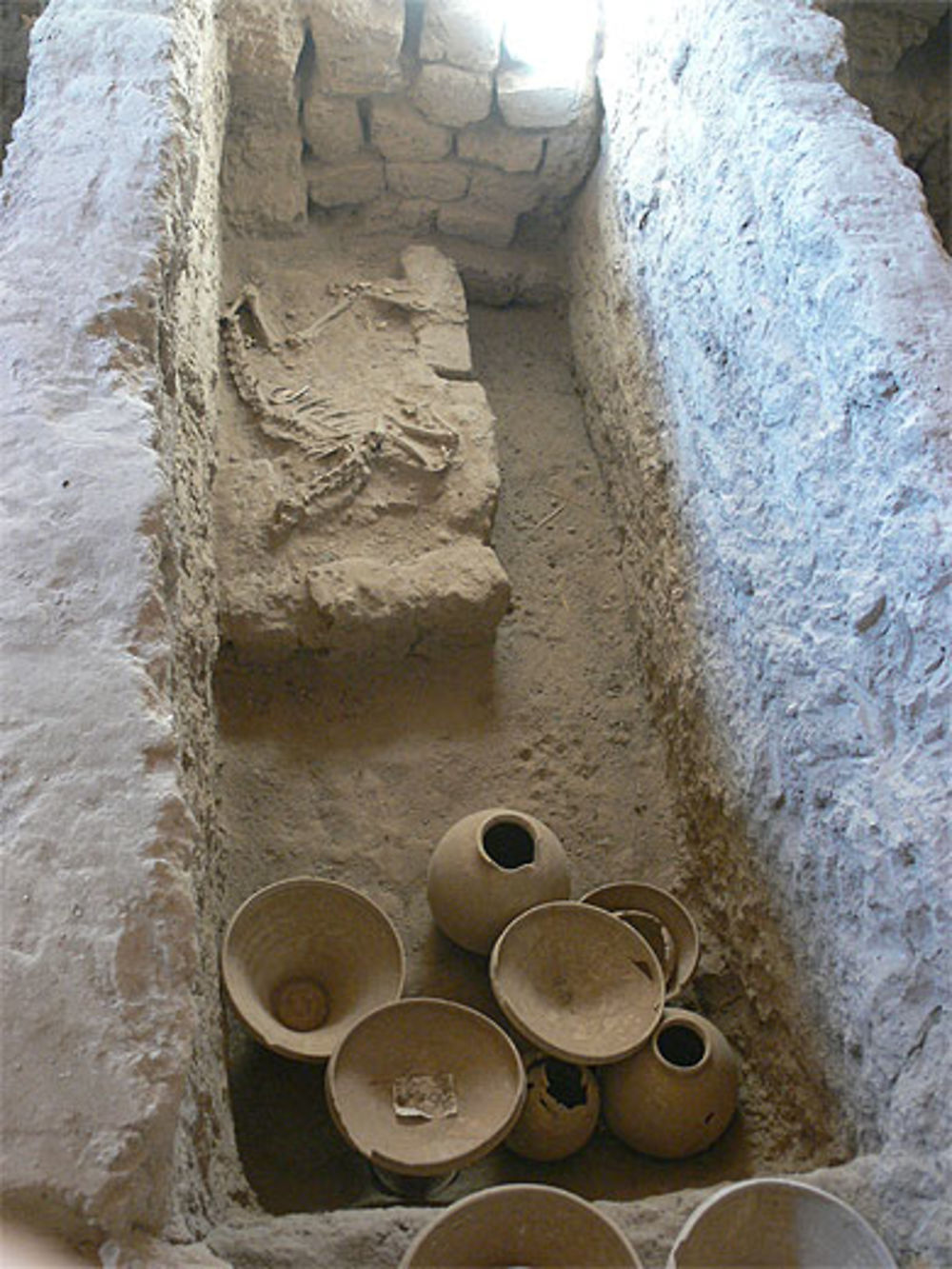 Sépulture d'un cheval à Gonur Tepe