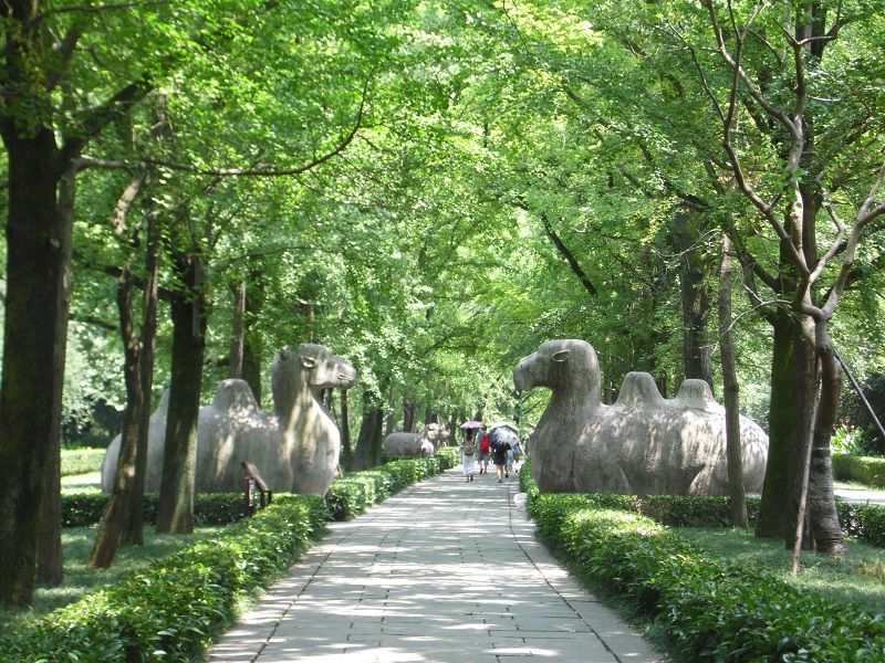 Chameaux de pierre, mausolée Xiaoling