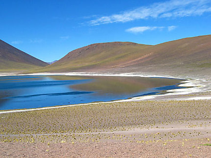 La laguna Miniques sur l'Altiplano