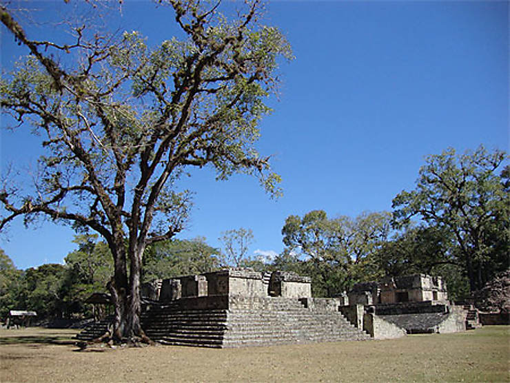 Site Archéologique De Copán Copán Honduras