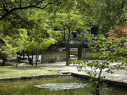 Séoul - Palais de Changdeok-gung